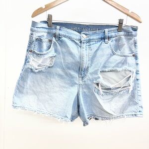 American Eagle Outfitters Light Blue Distressed Jean Shorts